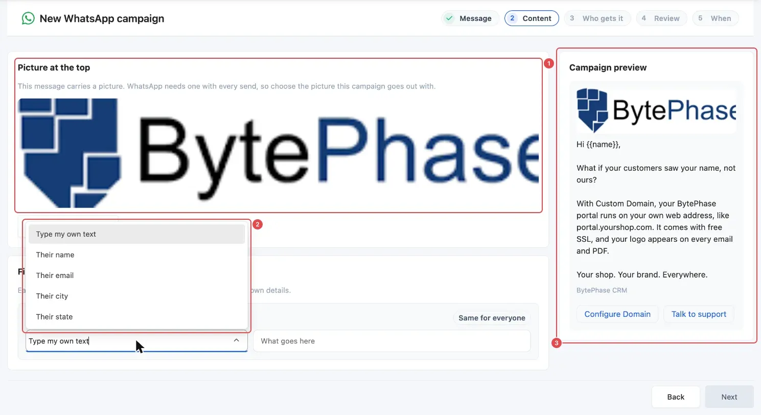 Content step: the picture at the top (1), the choices for a blank (2) and the Campaign preview (3)